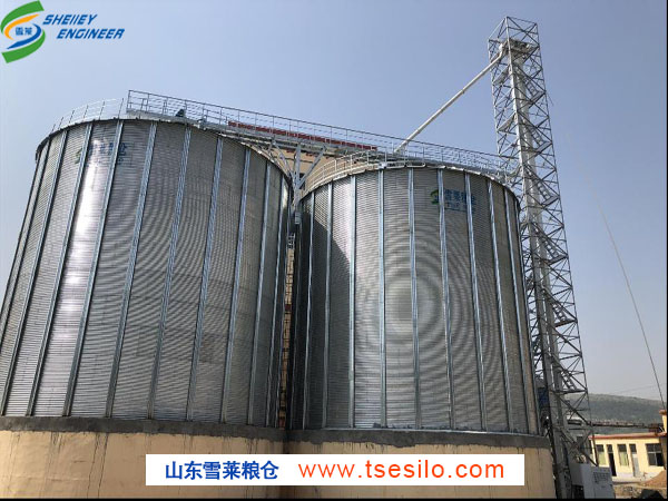 东平2-5000T玉米钢板仓投入生产中