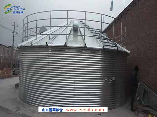 山东泰安粮贸公司2-200吨小麦玉米仓