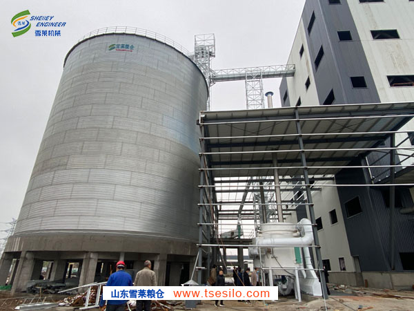 山西粮食加工企业安装5台2000吨平底钢板仓