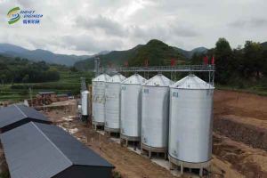 山西杂粮加工厂5台千吨级平底钢板仓+百吨级烘干塔安装完毕