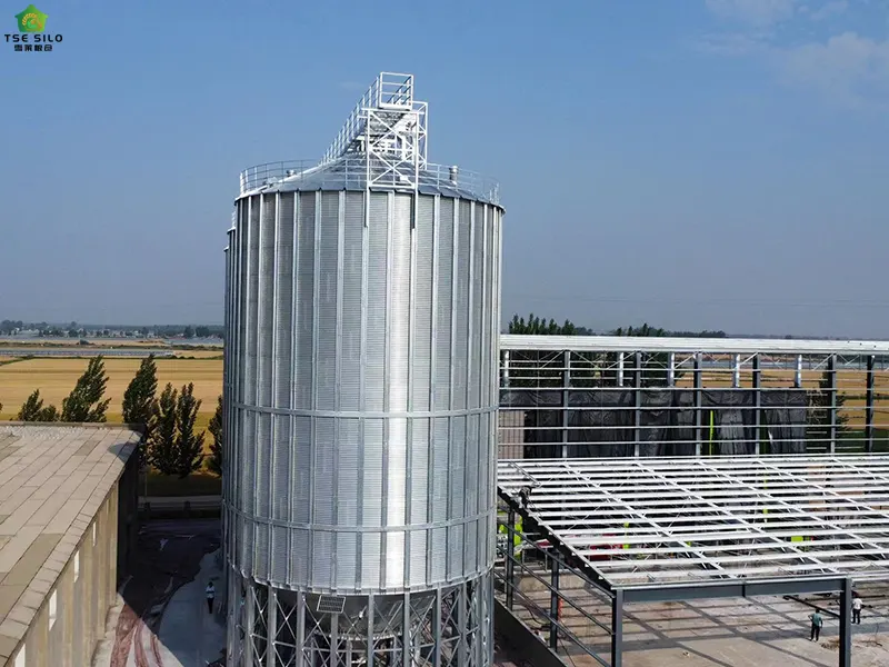 粮食钢板仓 粮食钢板仓