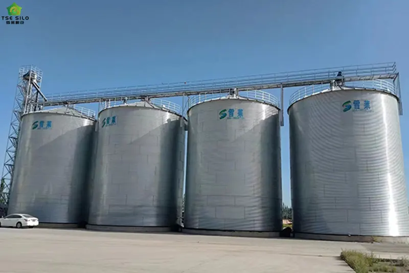 大型平底钢板仓 大型平底钢板仓