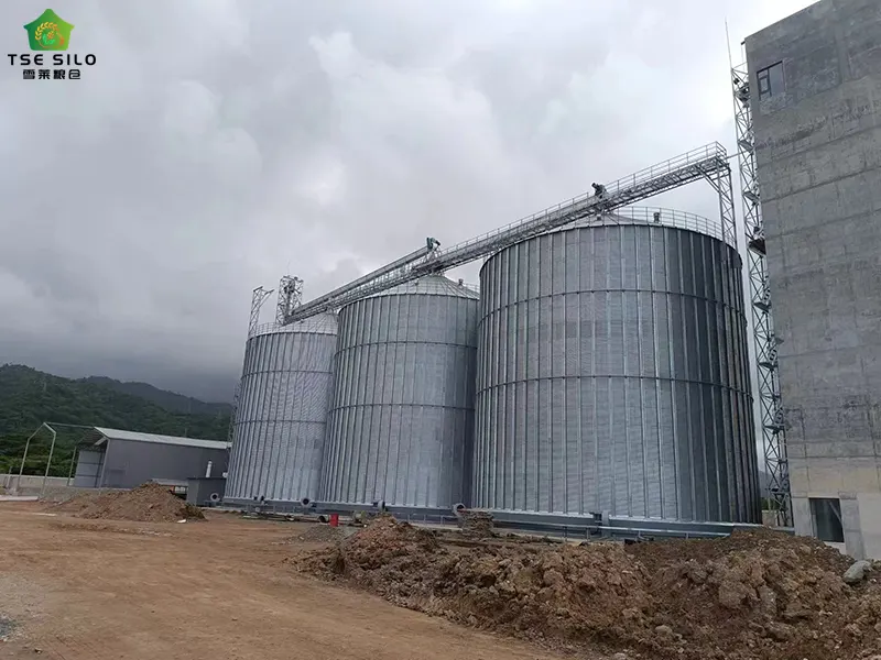 大型平底钢板仓